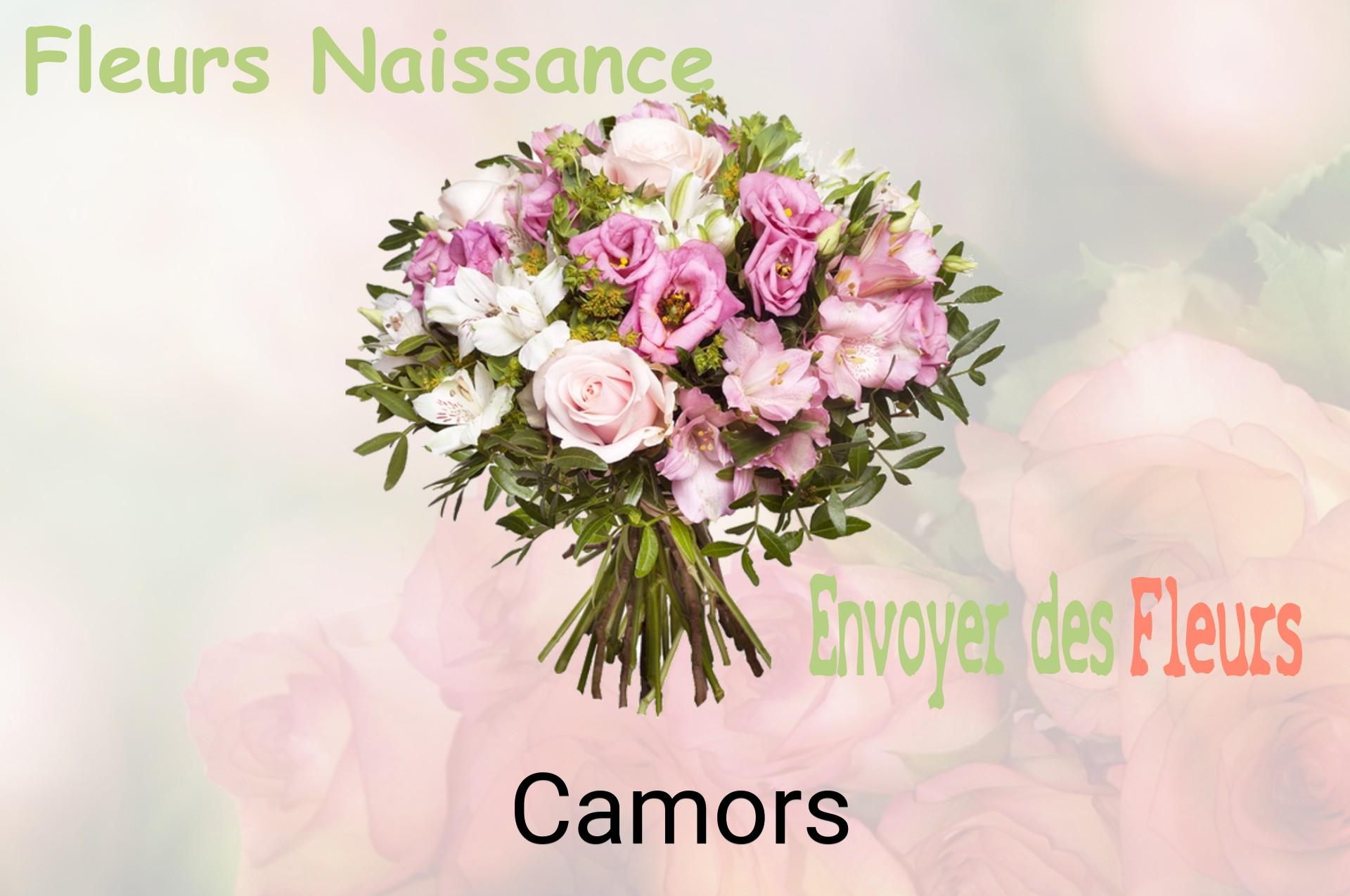Bouquet de fleurs de naissance livré à Camors