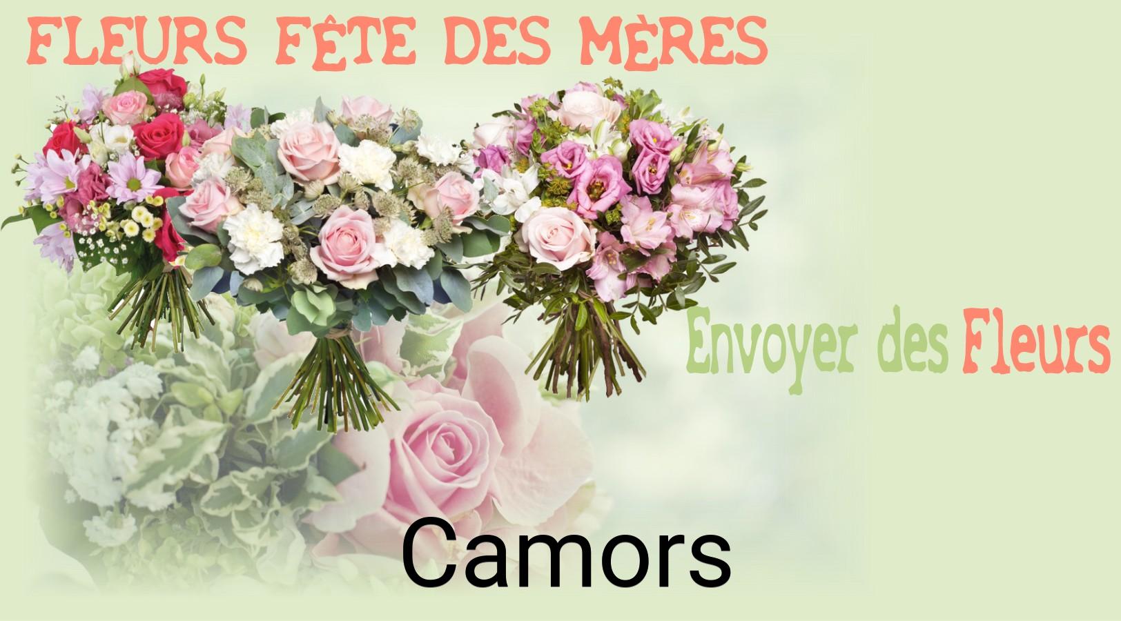 Bouquet de Fête des Mères livré à Camors